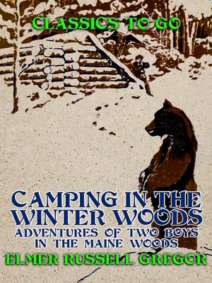 cover image of Camping in the Winter Woods Adventures of Two Boys in the Maine Woods